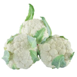 Nalini Cauliflower From Known You Seed (India)-KYI